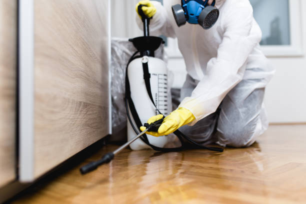 Best Residential Pest Control  in Spring Valley, MN