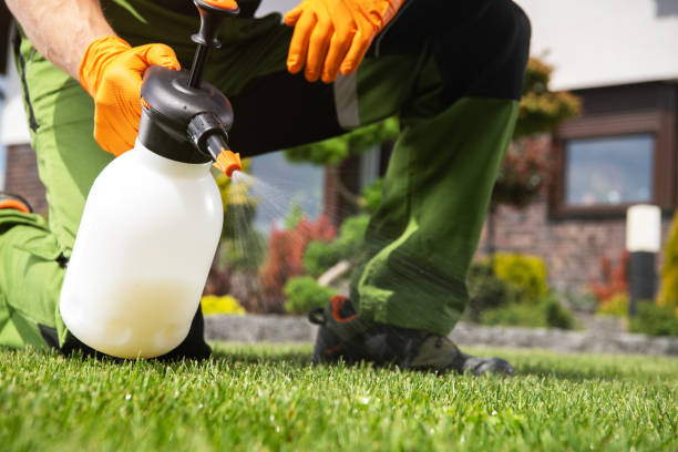 Best Best Pest Control Companies  in Spring Valley, MN