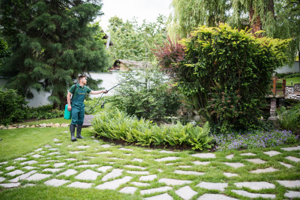 Best Best Pest Control Companies  in Spring Valley, MN
