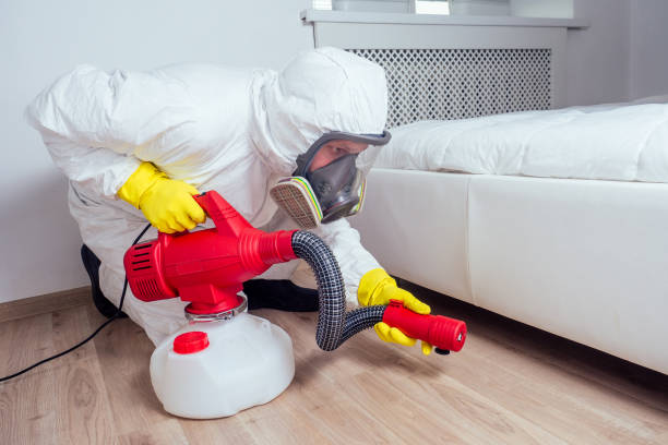 Best Pest Prevention Services  in Spring Valley, MN