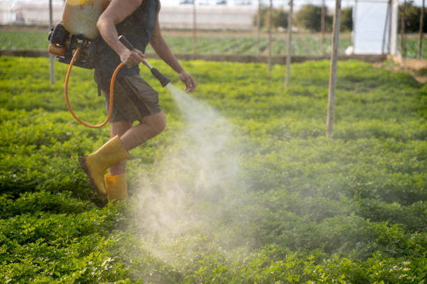 Best Best Pest Control Companies  in Spring Valley, MN