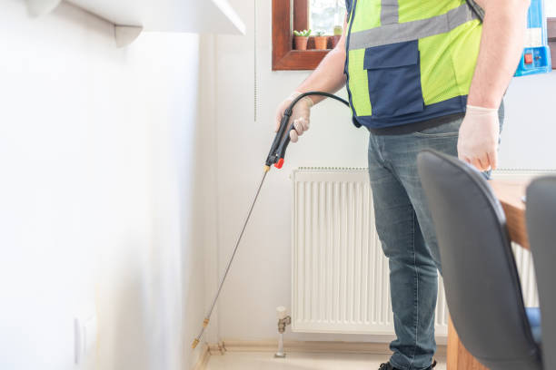 Best Bed Bug Extermination  in Spring Valley, MN