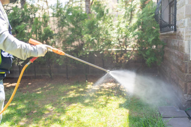 Best Local Pest Control Services  in Spring Valley, MN