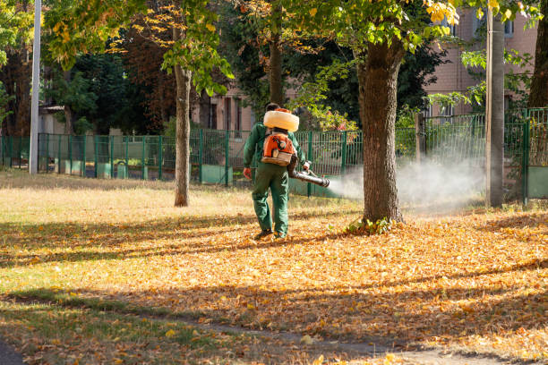 Best Affordable Pest Control Services  in Spring Valley, MN
