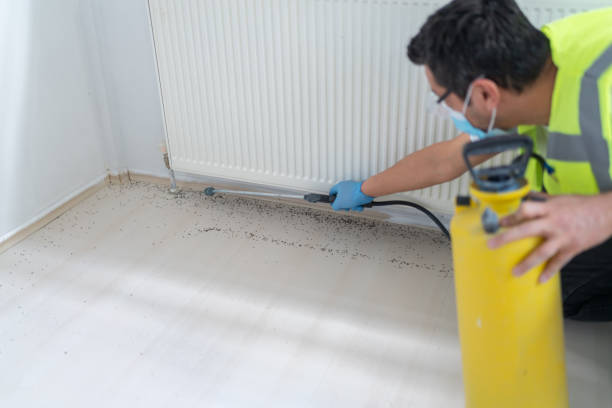 Flea Control Services in Spring Valley, MN