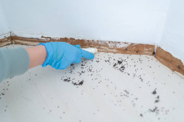 Best Wildlife Control Services  in Spring Valley, MN
